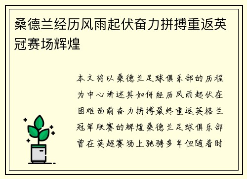 桑德兰经历风雨起伏奋力拼搏重返英冠赛场辉煌